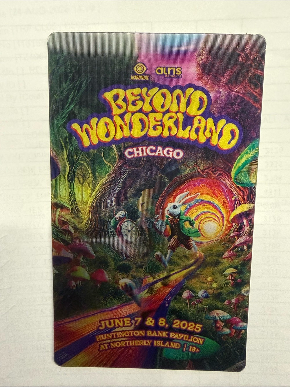 Beyond Wonderland Collectible Magnet 2025 Chicago Insomniac Northerly Island